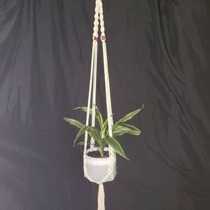 Homemade Macrame Plant Hanger
